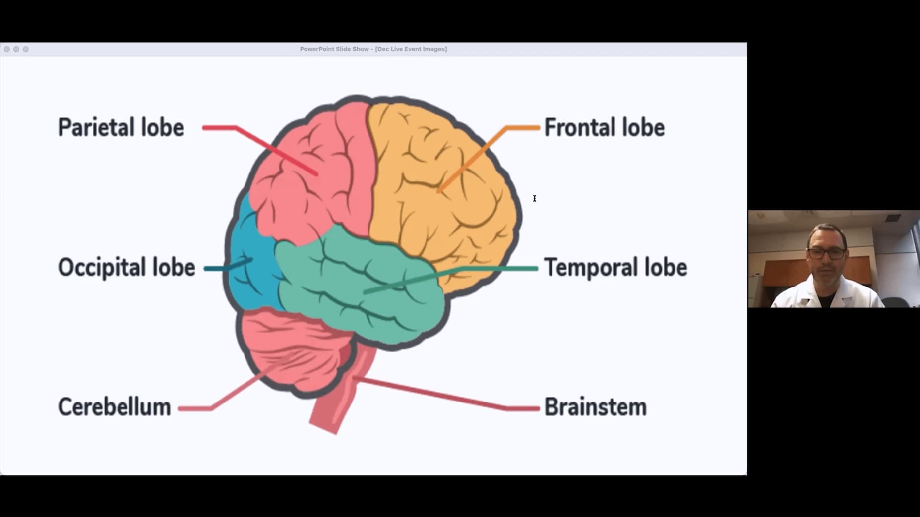 Frontotemporal Dementia and Frontal Lobe Syndromes